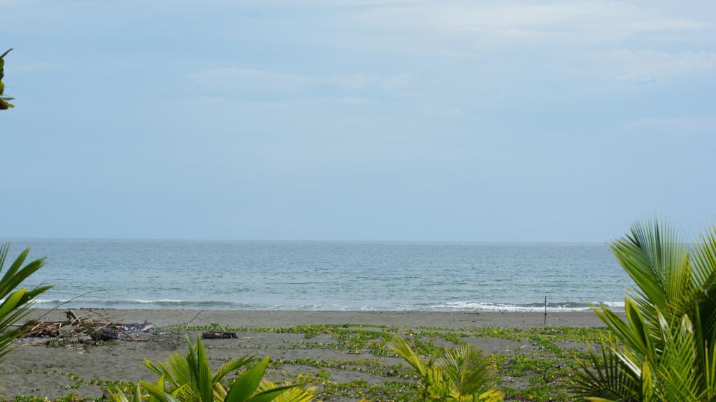 Lirio Lodge Barra de Pacuare Buitenkant foto