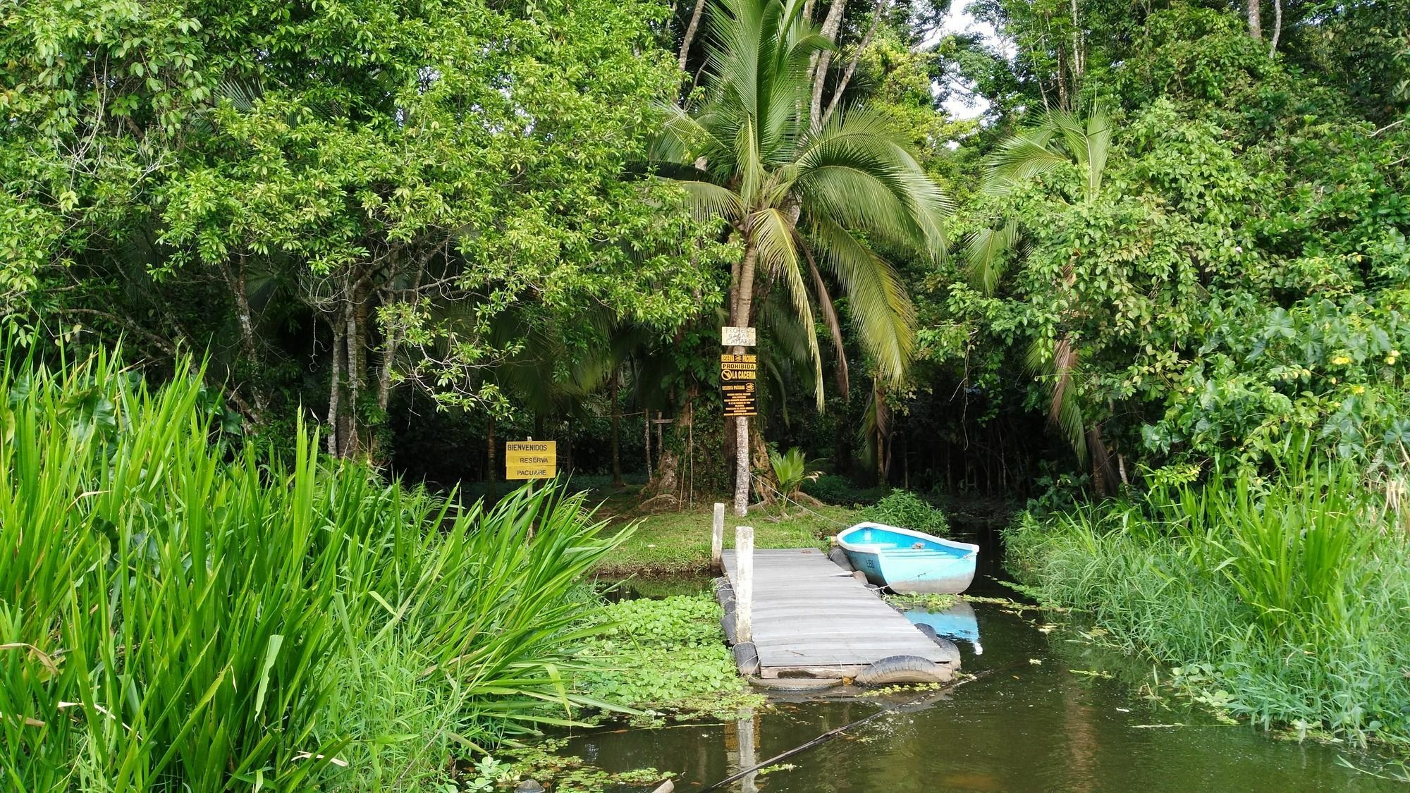 Lirio Lodge Barra de Pacuare Buitenkant foto