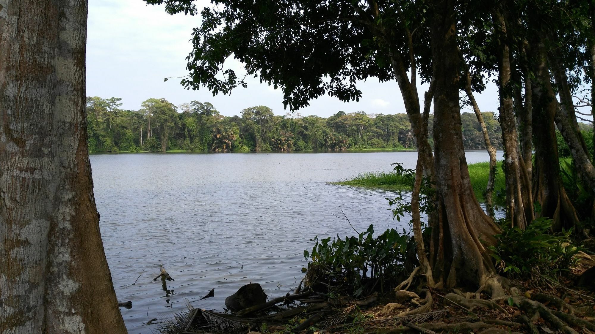 Lirio Lodge Barra de Pacuare Buitenkant foto