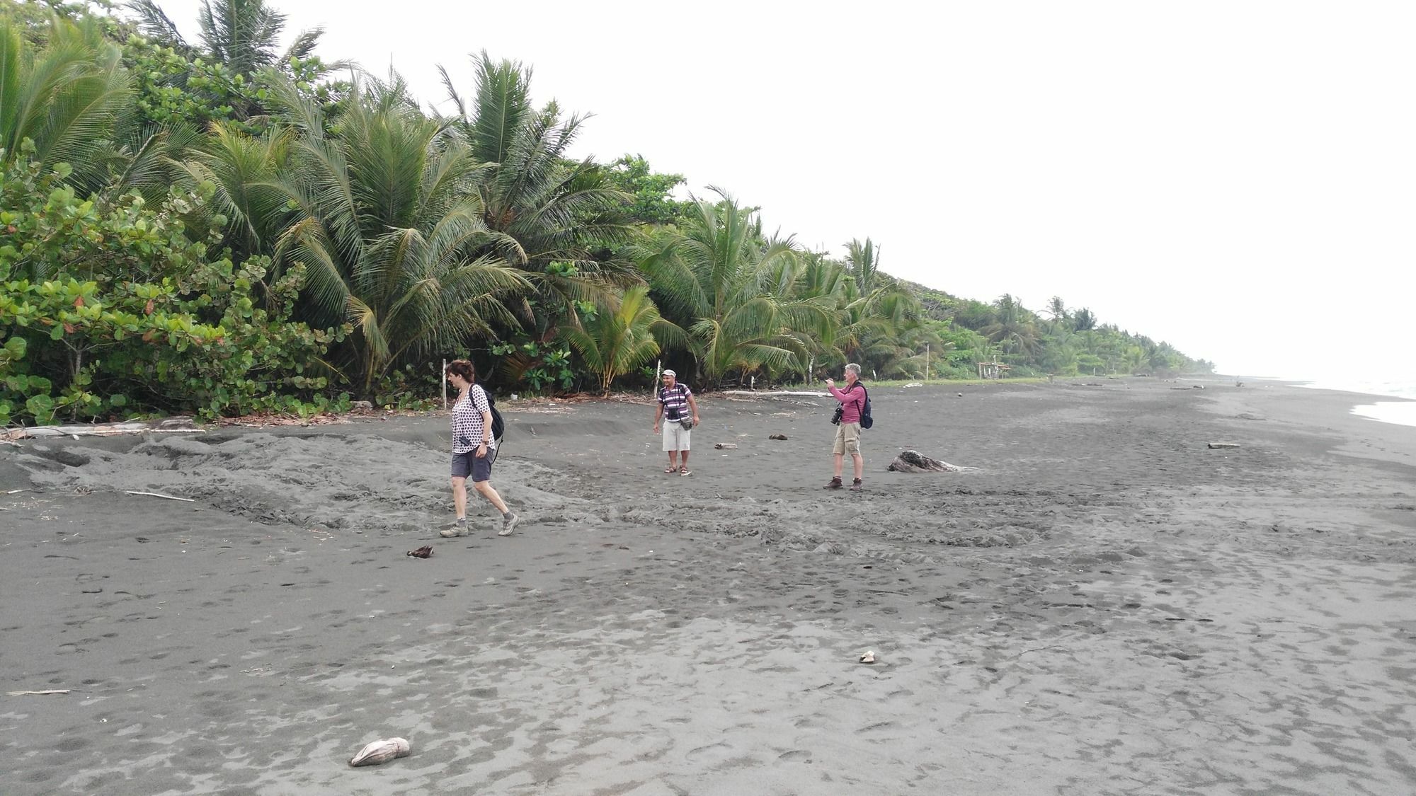 Lirio Lodge Barra de Pacuare Buitenkant foto