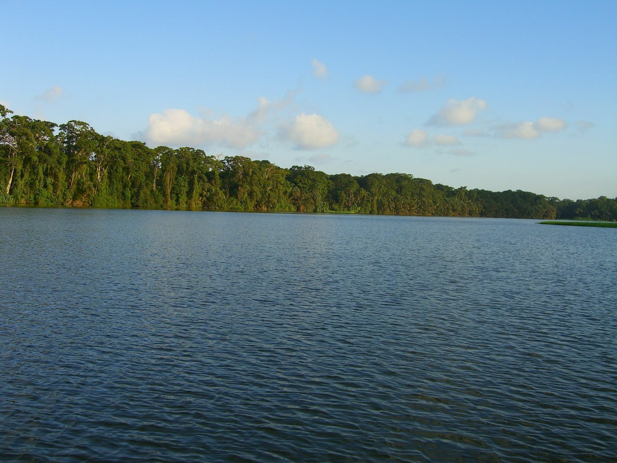 Lirio Lodge Barra de Pacuare Buitenkant foto