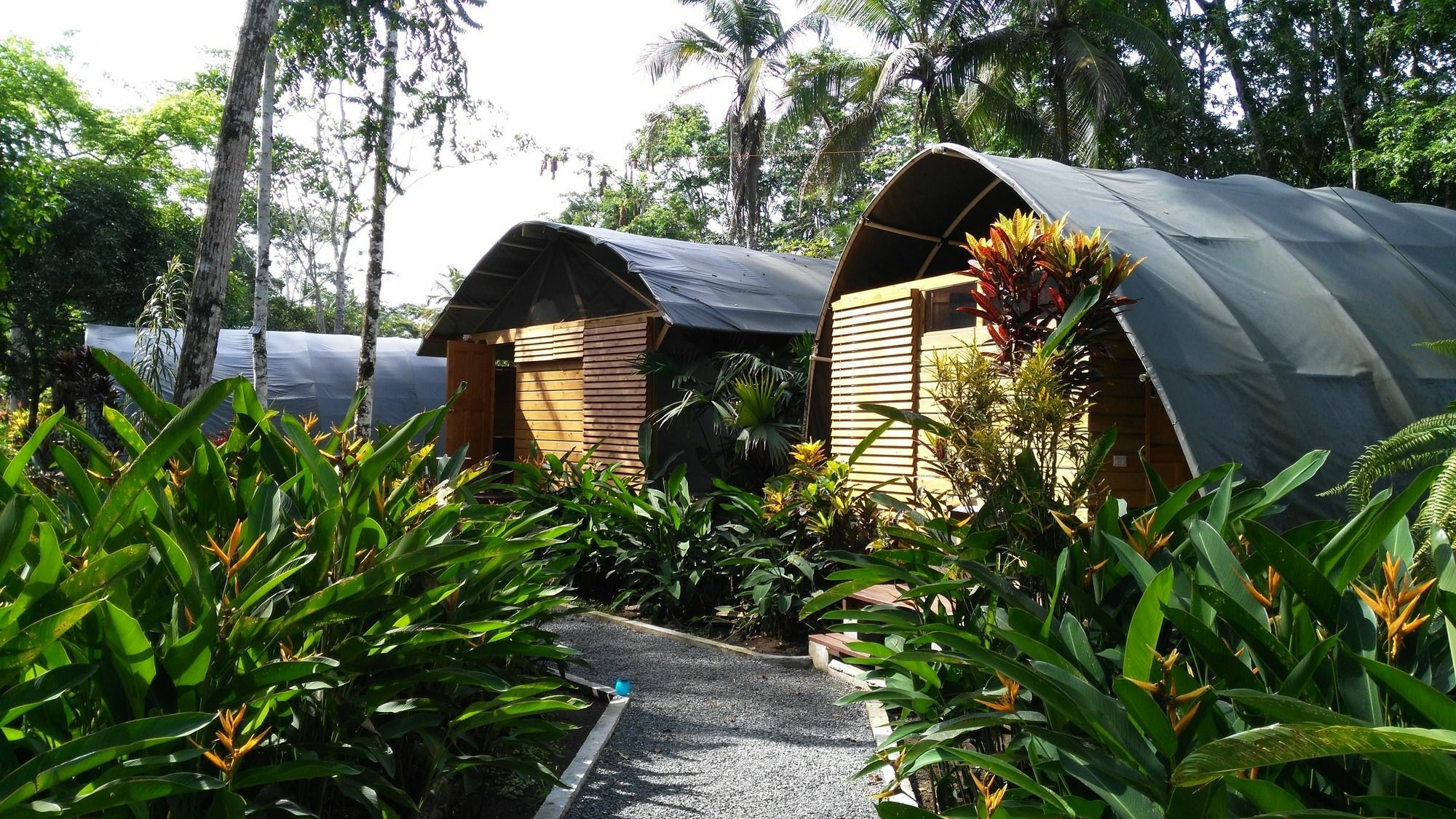 Lirio Lodge Barra de Pacuare Buitenkant foto