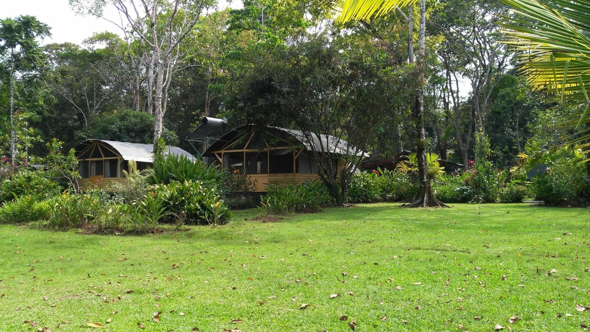 Lirio Lodge Barra de Pacuare Buitenkant foto