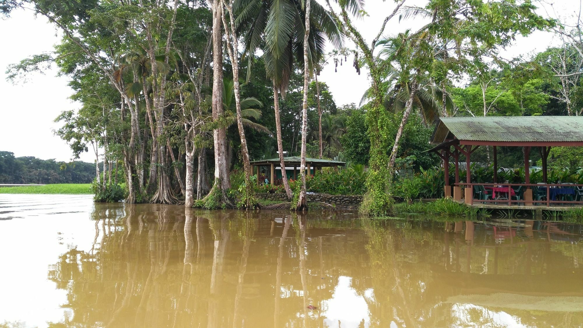 Lirio Lodge Barra de Pacuare Buitenkant foto