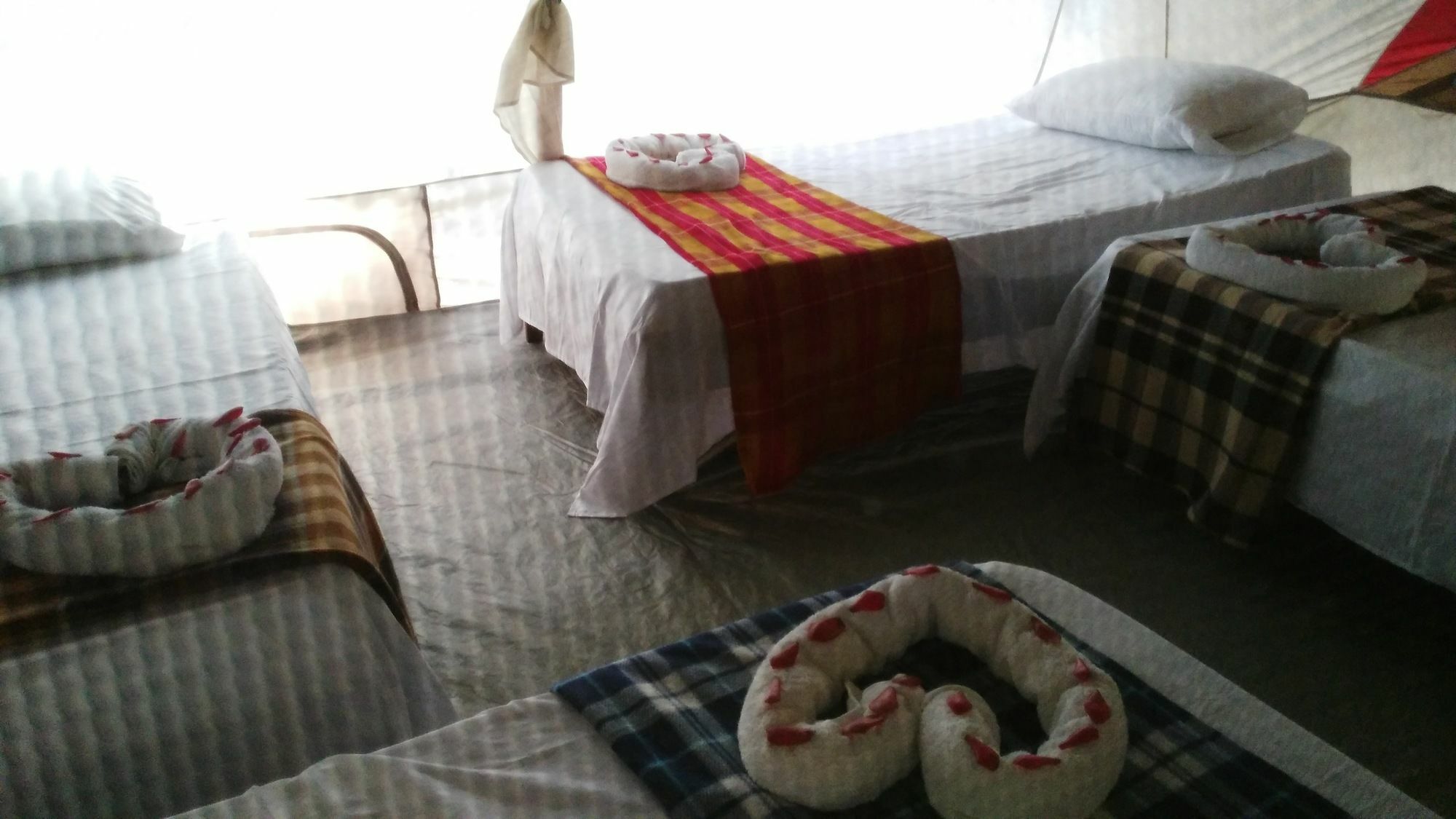 Lirio Lodge Barra de Pacuare Buitenkant foto