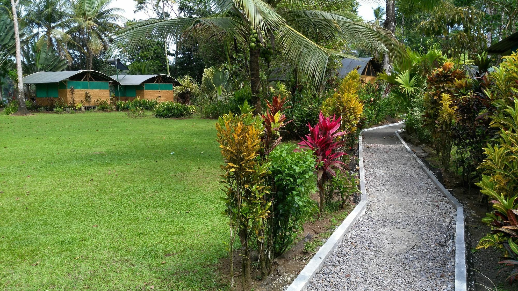 Lirio Lodge Barra de Pacuare Buitenkant foto