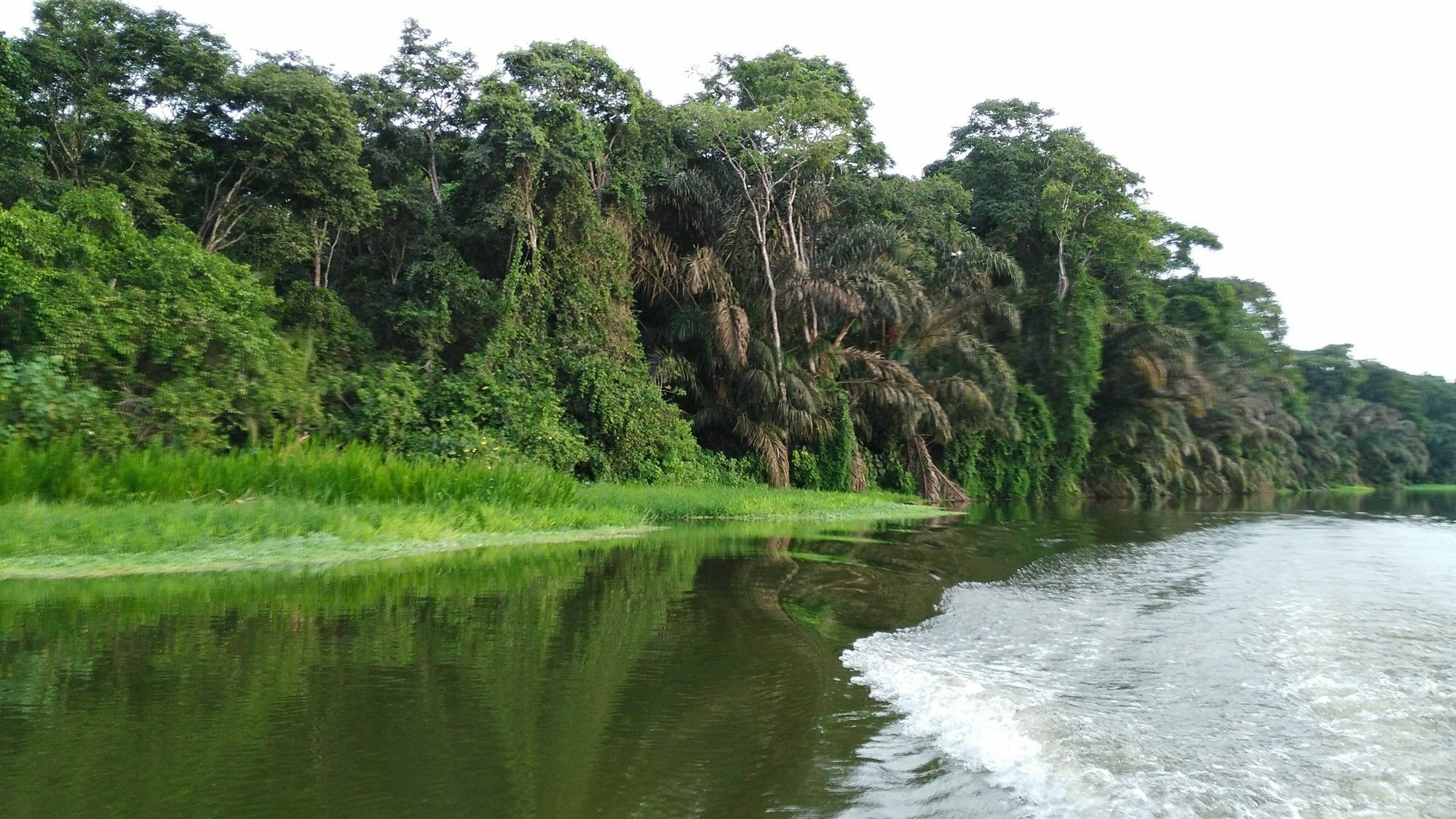Lirio Lodge Barra de Pacuare Buitenkant foto